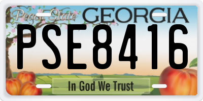 GA license plate PSE8416