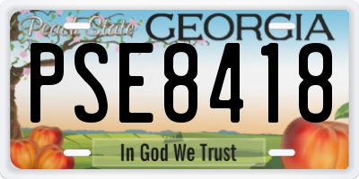 GA license plate PSE8418