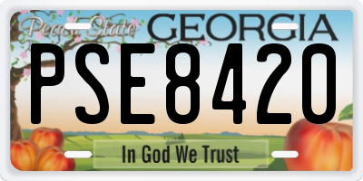 GA license plate PSE8420
