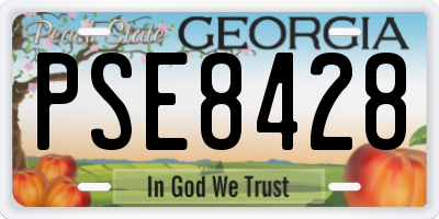GA license plate PSE8428