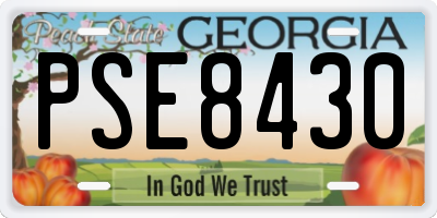 GA license plate PSE8430