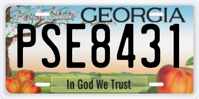 GA license plate PSE8431