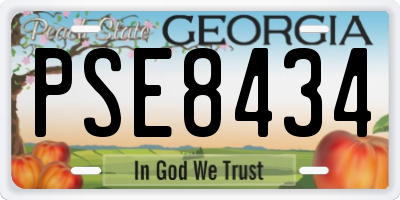 GA license plate PSE8434