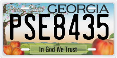 GA license plate PSE8435