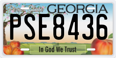 GA license plate PSE8436