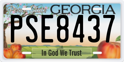 GA license plate PSE8437