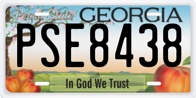 GA license plate PSE8438