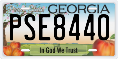 GA license plate PSE8440