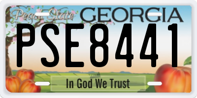 GA license plate PSE8441