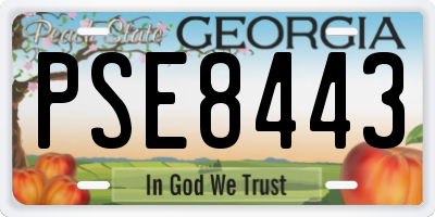 GA license plate PSE8443
