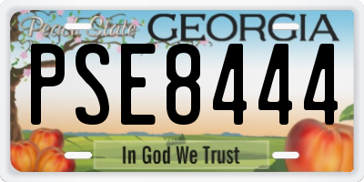 GA license plate PSE8444