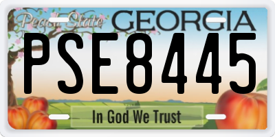 GA license plate PSE8445