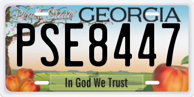 GA license plate PSE8447