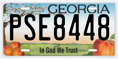 GA license plate PSE8448