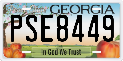 GA license plate PSE8449