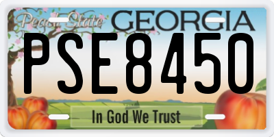 GA license plate PSE8450