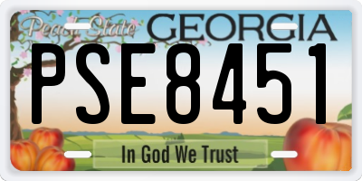 GA license plate PSE8451