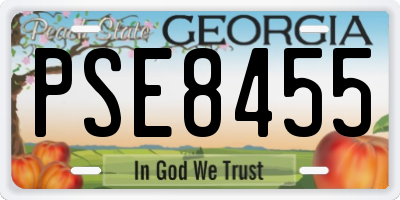 GA license plate PSE8455