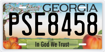 GA license plate PSE8458