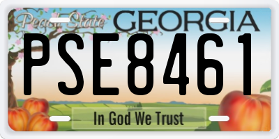 GA license plate PSE8461