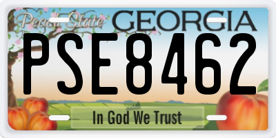 GA license plate PSE8462