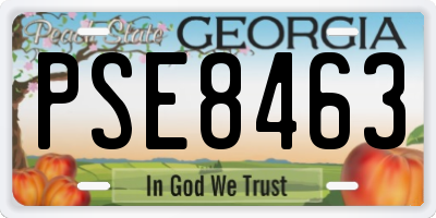 GA license plate PSE8463
