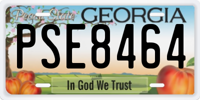 GA license plate PSE8464