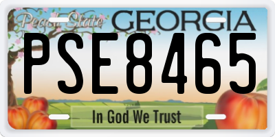 GA license plate PSE8465