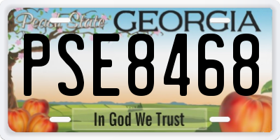 GA license plate PSE8468