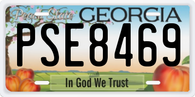 GA license plate PSE8469