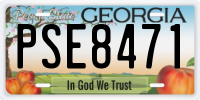GA license plate PSE8471