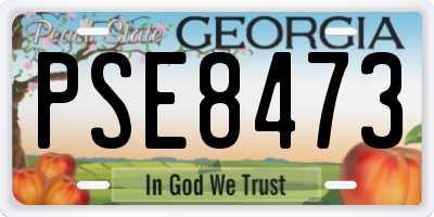 GA license plate PSE8473