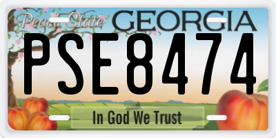 GA license plate PSE8474