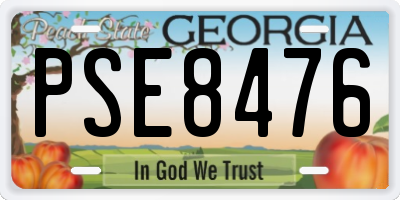 GA license plate PSE8476