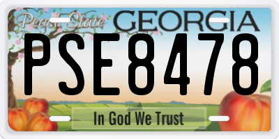 GA license plate PSE8478