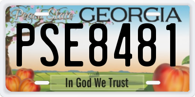 GA license plate PSE8481
