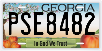 GA license plate PSE8482