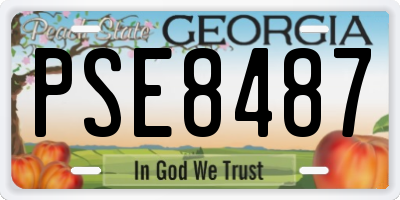 GA license plate PSE8487