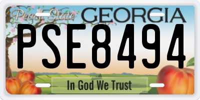 GA license plate PSE8494