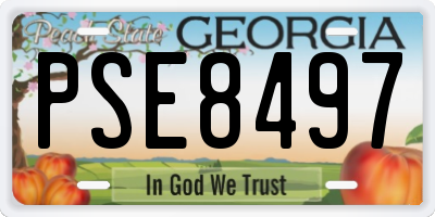 GA license plate PSE8497