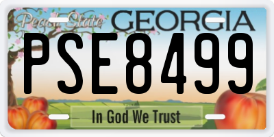 GA license plate PSE8499