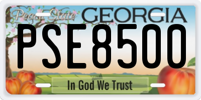 GA license plate PSE8500