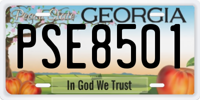 GA license plate PSE8501