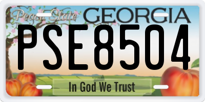GA license plate PSE8504
