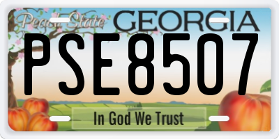 GA license plate PSE8507