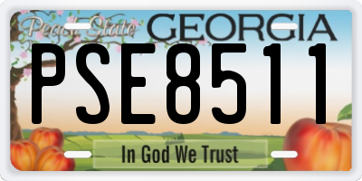 GA license plate PSE8511