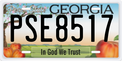 GA license plate PSE8517