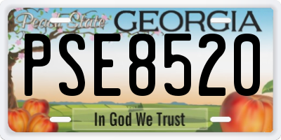 GA license plate PSE8520