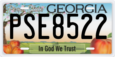 GA license plate PSE8522