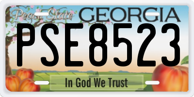 GA license plate PSE8523